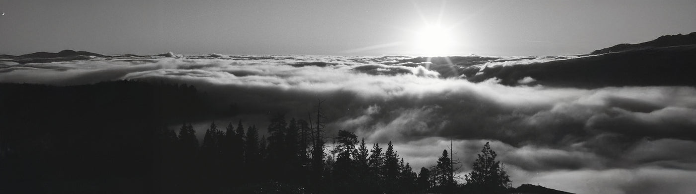 Black and white landscape of mountains and trees with a sunlit sky.