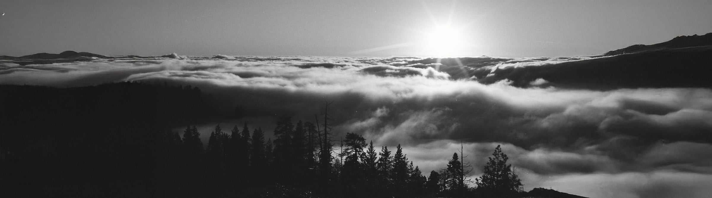 Black and white landscape of mountains and trees with a sunlit sky.