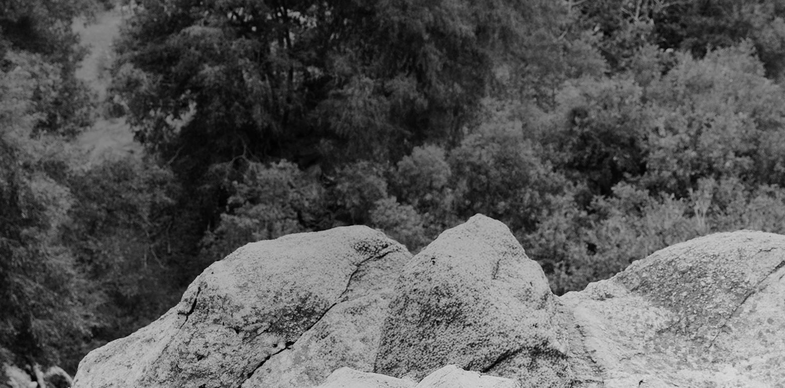 Rocks with trees in the background