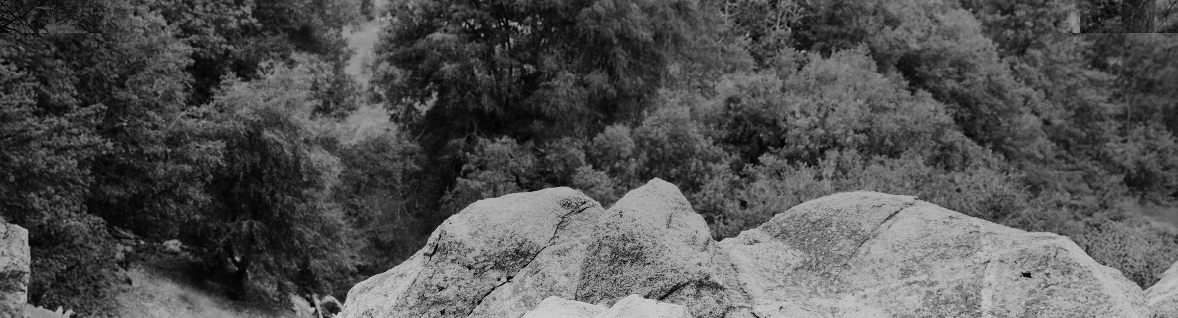 Rocks with a forest background