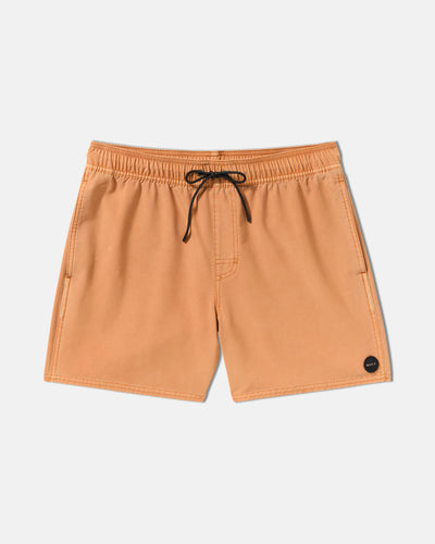 VA Pigment Elastic Short 16" - RVCA