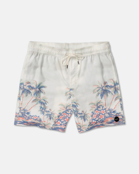 Barnes Elastic Short 17" Swim Trunk - RVCA