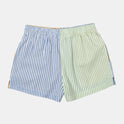 Sawyer Stripe Elastic Shorts - Multi