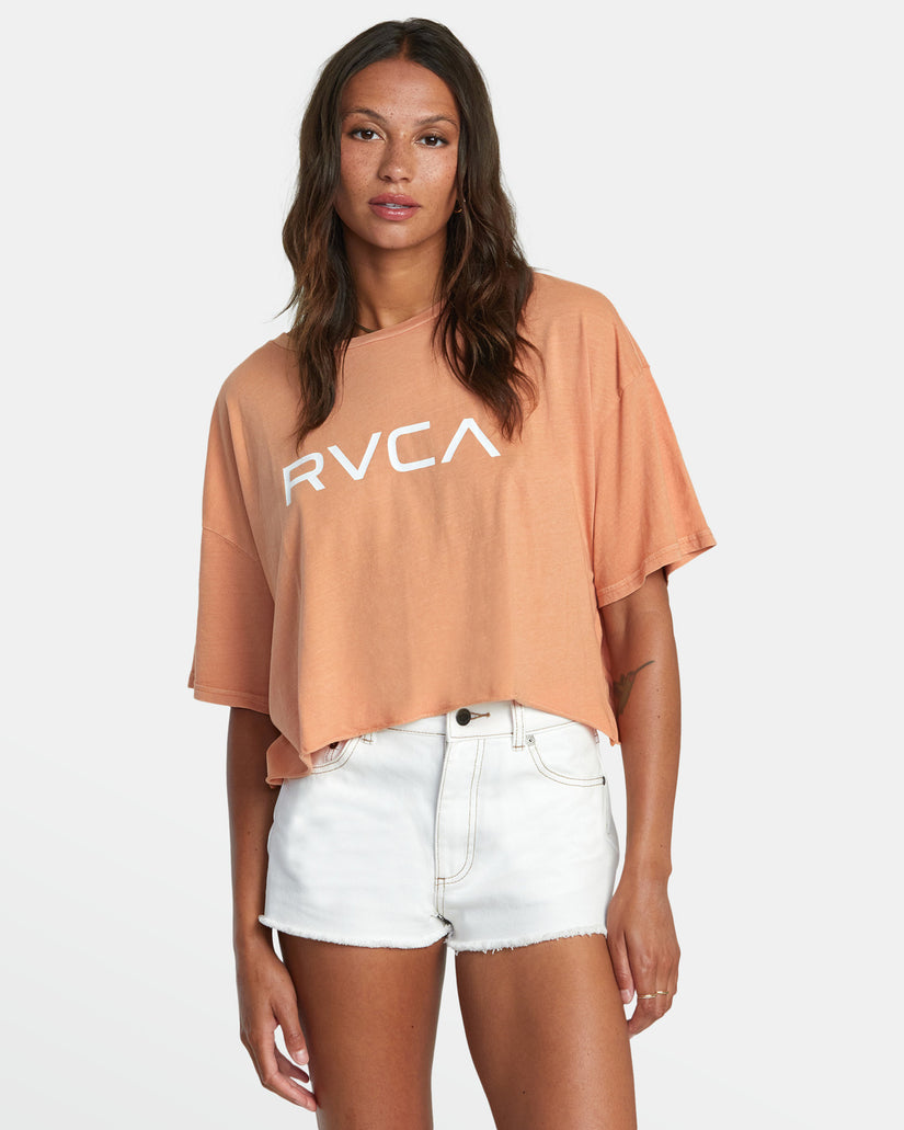 Big RVCA Short Sleeve Tee - Canyon Rose